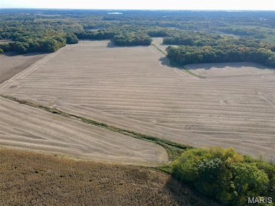 00 Union Grove Ave, Lagrange Township, IL 62246 - photo 2