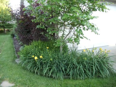 Manicured, easy-care landscape!