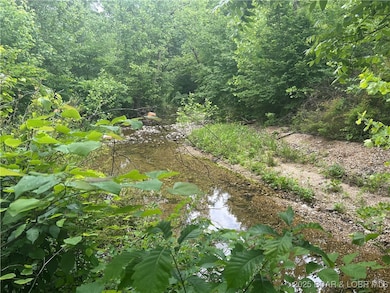 0 Kolb Hollow Rd, Climax Springs, MO 65324 - photo 3