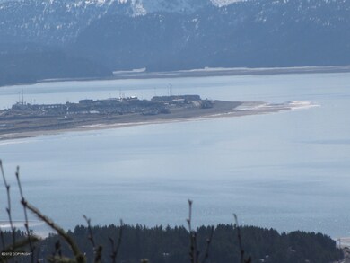 Homer Spit views