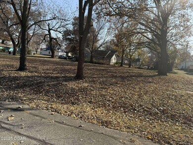 325 N Delaware Ave, Columbus, KS 66725 - photo 4