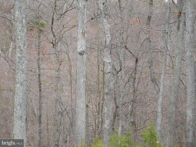 1716 Tub Run Hollow Rd, Hedgesville, WV 25427 - photo 7