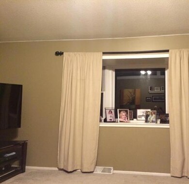 BAY WINDOW IN LIVING ROOM