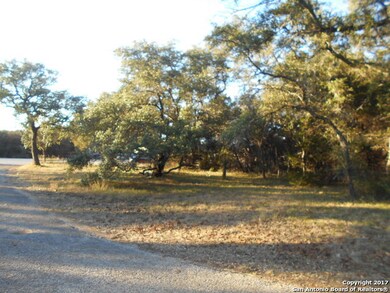 10546 Fm 1560 N, San Antonio, TX 78254 - photo 5