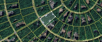 Lot NI501 Shawnee Trail & Highpoint Dr, Albrightsville, PA 18210 - photo 2