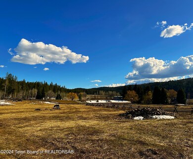 early spring