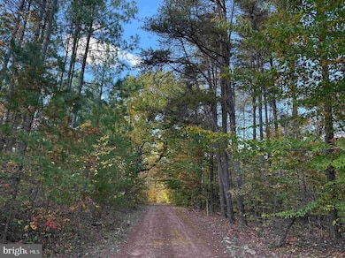 0 Off of Shores Road (Tract: C41 Tanager Et2 2020), Scottsville, VA 24590 - photo 7