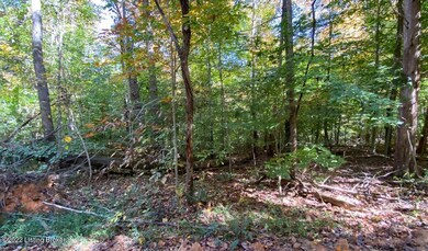 River View Fall163