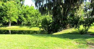 Pond View 2