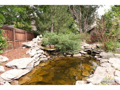BACK YARD POND