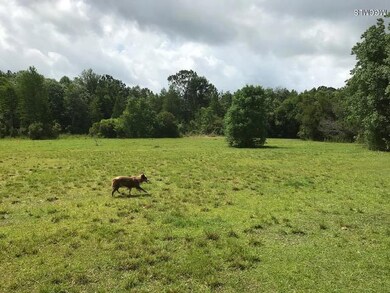 23000 Enoch Nettles Rd, Picayune, MS 39466 - photo 5