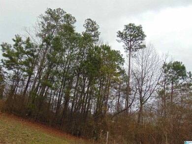 1215 Grande View Ln, Alabaster, AL 35114 - photo 3