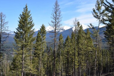 883 Wolverine Dr, Seeley Lake, MT 59868 - photo 7