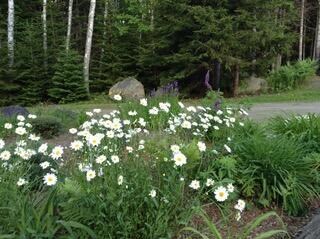 78 Wilson Point Rd, Castine, ME 04421 - photo 6