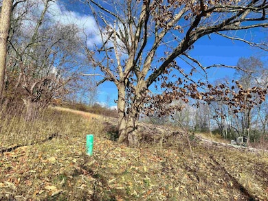 TBD Planing Mill St, Belington, WV 26250 - photo 2