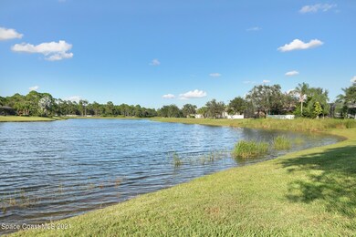 Lake Side View