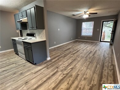 1000 Furman Ave unit A, San Marcos, TX 78666 - photo 3