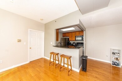 Glass Factory Condominiums unit 309, Cambridge, MA 02141 - photo 5