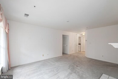 4407 Silverbrook Ln unit C203, Owings Mills, MD 21117 - photo 6