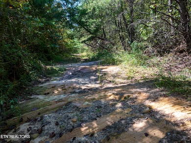 0 Tiffany Ln unit 1316602, Jamestown, TN 38556 - photo 5