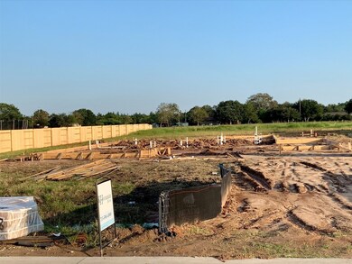 11333 Fannin Trail Ct, Needville, TX 77461 - photo 4