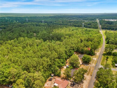 50 Ac Hwy 301, Jesup, GA 31546 - photo 7