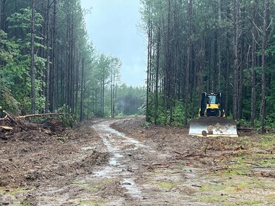 32 Ac Thomas Springs Rd, Crossville, TN 38572 - photo 6