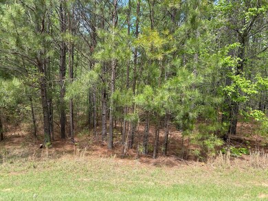 1147 Watersedge Cove, Tignall, GA 30668 - photo 2