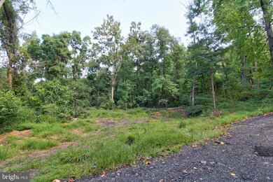 0 Old Ski Lodge Ln unit VARP2001236, Washington, VA 22747 - photo 7