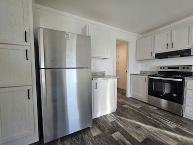 1029 Myakka Dr unit 2095, North Fort Myers, FL 33917 - photo 7