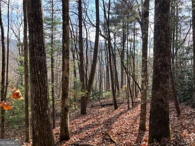 0 Evergreen Ln unit 10649699, Dillard, GA 30537 - photo 7