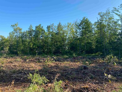 Lot 63-11-1 Ossipee Mountain Rd unit 63/11-1, Ossipee, NH 03864 - photo 7
