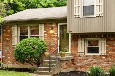 10807 Cherry Grove Ct-4