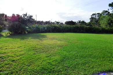 Natural Barrier in Front of home