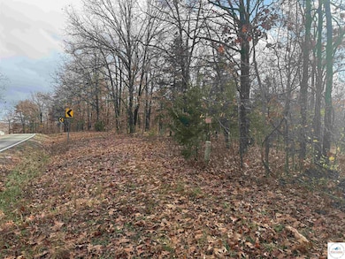 24978 Highway H, Lincoln, MO 65338 - photo 2