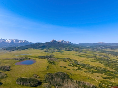 3289 Laughing Dog Rd, Placerville, CO 81430 - photo 5