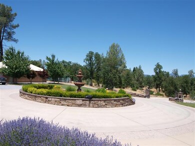 Water Feature