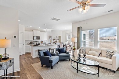 14015 Wilson Mac Ln, Charlotte, NC 28278 - photo 4