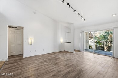 LOOK AT ALL THIS LIGHT