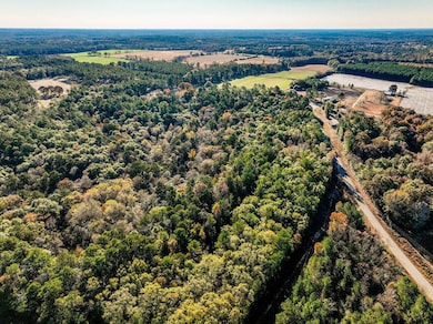 15.6+/- Acres Rose Hill Dozier MacEdonia Rd, Andalusia, AL 36421 - photo 3