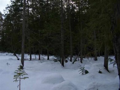 182 Shady Ln, Cusick, WA 99119 - photo 3