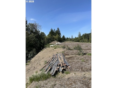 0 Redwood Hwy unit 403563901, O'Brien, OR 97534 - photo 3