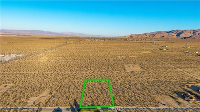 6667 Peterson Rd, Twentynine Palms, CA 92277 - photo 2