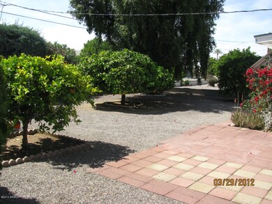 Open and Spacious Back Yard!