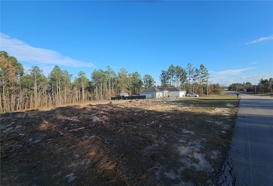 0 SW 135th Ave, Ocala, FL 34481 - photo 3