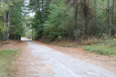 0 Reo Rd unit 1397443, Rocky Face, GA 30740 - photo 3