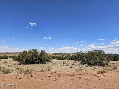 27 N 9183, Concho, AZ 85924 - photo 3