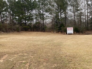 1136 E Wellsgate Dr, Oxford, MS 38655 - photo 3