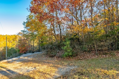 Moonlight Ln, Fancy Gap, VA 24328 - photo 2