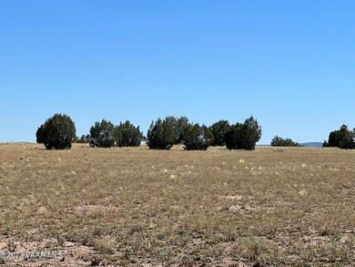 116 Old Route 66, Ash Fork, AZ 86320 - photo 5